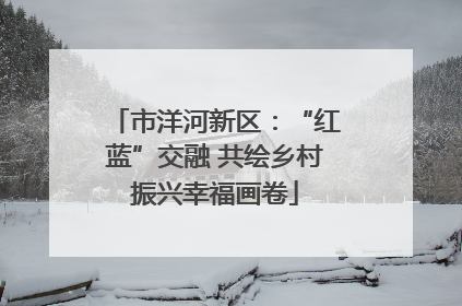 市洋河新区：“红蓝”交融 共绘乡村振兴幸福画卷