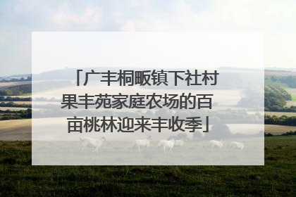 广丰桐畈镇下社村果丰苑家庭农场的百亩桃林迎来丰收季