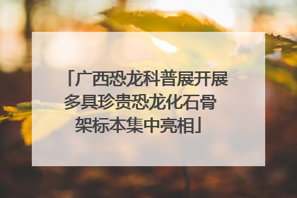 广西恐龙科普展开展 多具珍贵恐龙化石骨架标本集中亮相