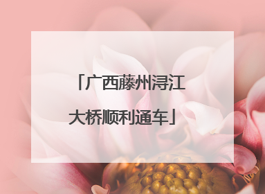 广西藤州浔江大桥顺利通车