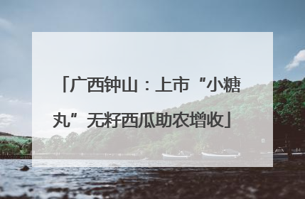 广西钟山：上市“小糖丸”无籽西瓜助农增收