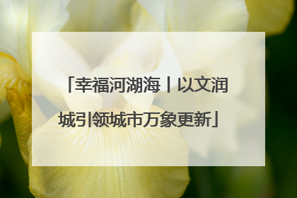 幸福河湖海丨以文润城引领城市万象更新