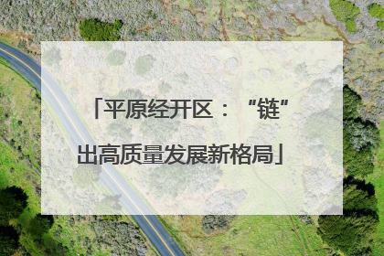 平原经开区：“链”出高质量发展新格局
