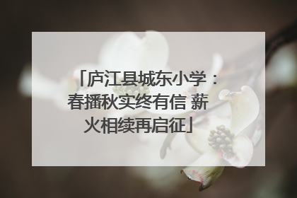 庐江县城东小学：春播秋实终有信 薪火相续再启征