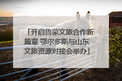 开启鲁蒙文旅合作新篇章 鄂尔多斯与山东文旅资源对接会举办