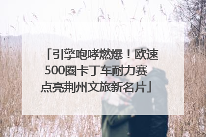 引擎咆哮燃爆！欧速500圈卡丁车耐力赛点亮荆州文旅新名片