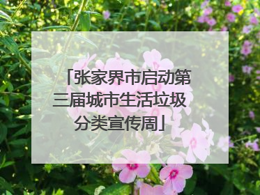 张家界市启动第三届城市生活垃圾分类宣传周