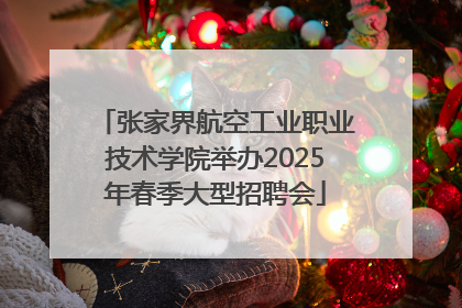 张家界航空工业职业技术学院举办2025年春季大型招聘会