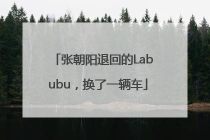 张朝阳退回的Labubu，换了一辆车