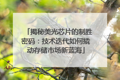 揭秘美光芯片的制胜密码：技术迭代如何撬动存储市场新蓝海