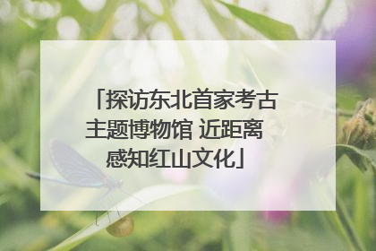 探访东北首家考古主题博物馆 近距离感知红山文化
