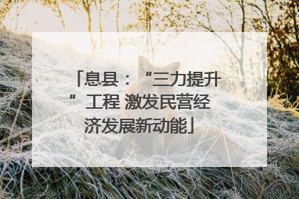 息县：“三力提升”工程 激发民营经济发展新动能