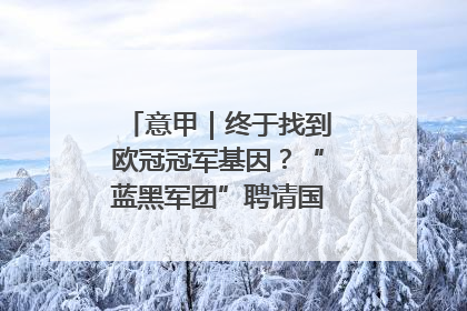 意甲｜终于找到欧冠冠军基因？“蓝黑军团”聘请国米名宿齐沃执教