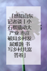 感知山东记者谈丨小石榴撬动大产业 枣庄破局乡村发展难题 书写乡村共富答卷