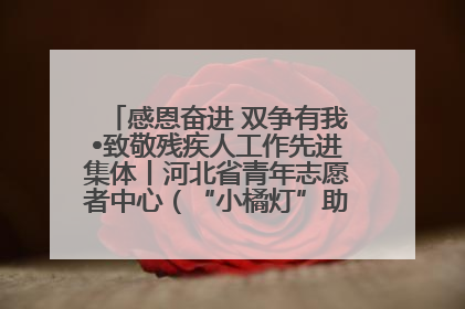 感恩奋进 双争有我•致敬残疾人工作先进集体丨河北省青年志愿者中心（“小橘灯”助残接力计划实施团队）：用温暖陪伴，守护特殊孩子成长
