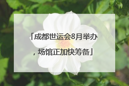 成都世运会8月举办，场馆正加快筹备