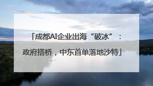成都AI企业出海“破冰”：政府搭桥，中东首单落地沙特