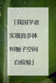 我国学者实现真多体纠缠子空间自检验