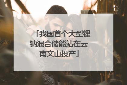 我国首个大型锂钠混合储能站在云南文山投产