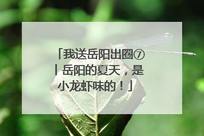 我送岳阳出圈⑦丨岳阳的夏天，是小龙虾味的！