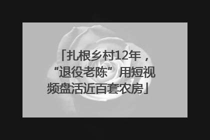 扎根乡村12年，“退役老陈”用短视频盘活近百套农房