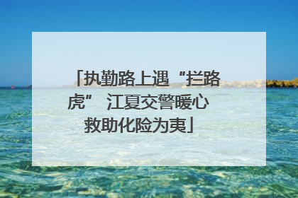 执勤路上遇“拦路虎” 江夏交警暖心救助化险为夷