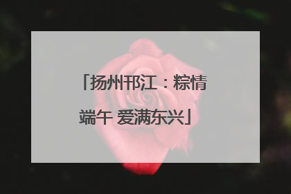 扬州邗江：粽情端午 爱满东兴
