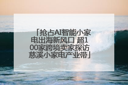 抢占AI智能小家电出海新风口 超100家跨境卖家探访慈溪小家电产业带