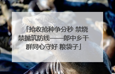 抢收抢种争分秒 禁烧禁抛筑防线——郎中乡干群同心守好 粮袋子