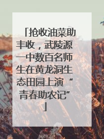 抢收油菜助丰收，武陵源一中数百名师生在黄龙洞生态田园上演“青春助农记”