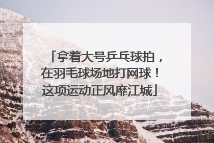 拿着大号乒乓球拍，在羽毛球场地打网球！这项运动正风靡江城