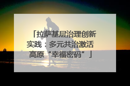 拉萨基层治理创新实践：多元共治激活高原“幸福密码”