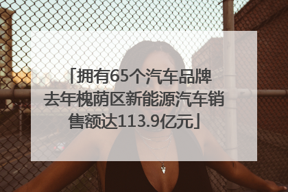 拥有65个汽车品牌 去年槐荫区新能源汽车销售额达113.9亿元