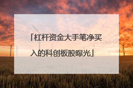 杠杆资金大手笔净买入的科创板股曝光