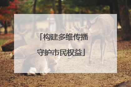 构建多维传播 守护市民权益