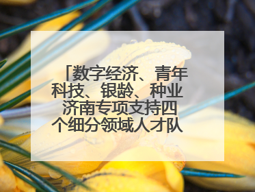 数字经济、青年科技、银龄、种业 济南专项支持四个细分领域人才队伍建设