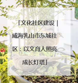 文化社区建设｜威海乳山市东城社区：以文育人照亮成长灯塔