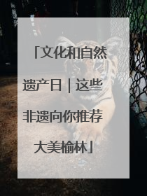 文化和自然遗产日｜这些非遗向你推荐大美榆林