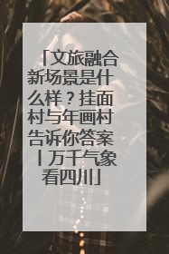 文旅融合新场景是什么样？挂面村与年画村告诉你答案丨万千气象看四川