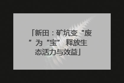 新田：矿坑变“废”为“宝” 释放生态活力与效益