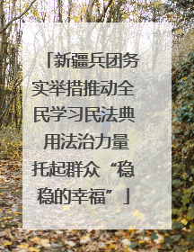 新疆兵团务实举措推动全民学习民法典 用法治力量托起群众“稳稳的幸福”