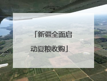 新疆全面启动夏粮收购