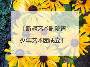 新疆艺术剧院青少年艺术团成立