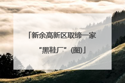 新余高新区取缔一家“黑鞋厂”(图)