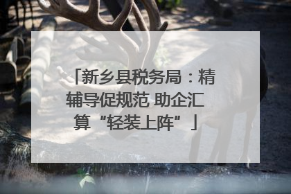 新乡县税务局：精辅导促规范 助企汇算“轻装上阵”