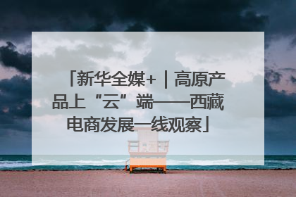 新华全媒+｜高原产品上“云”端——西藏电商发展一线观察
