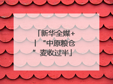 新华全媒+丨“中原粮仓”麦收过半