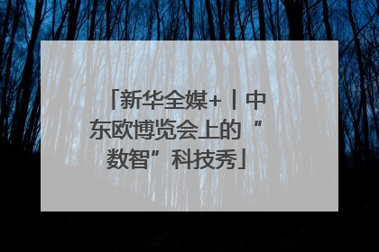 新华全媒+丨中东欧博览会上的“数智”科技秀