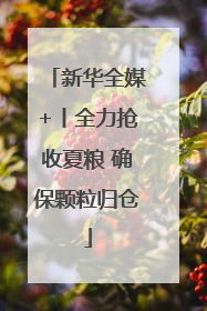 新华全媒+丨全力抢收夏粮 确保颗粒归仓