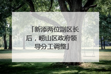新添两位副区长后，崂山区政府领导分工调整
